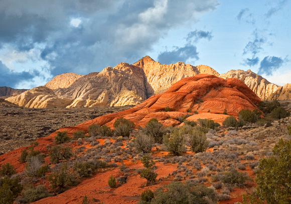 Snow Canyon Buttefrly