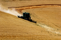 Harvesting Hillside