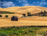 Harvested Fields