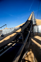 Conveyor to Pile