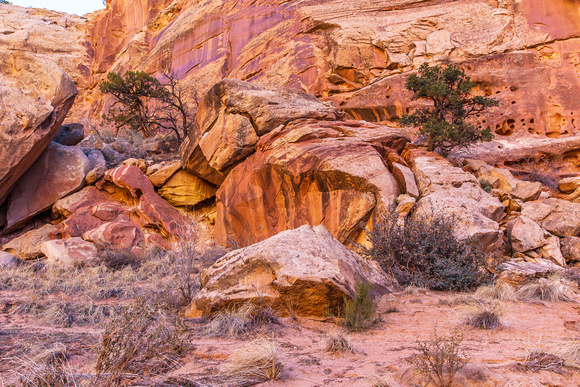 Capitol Reef - Seeping Varnish