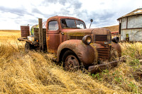 Dodge