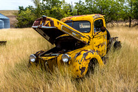 Ford Hood Up
