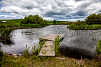 Palouse Pond