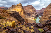 AZ Grand Canyon